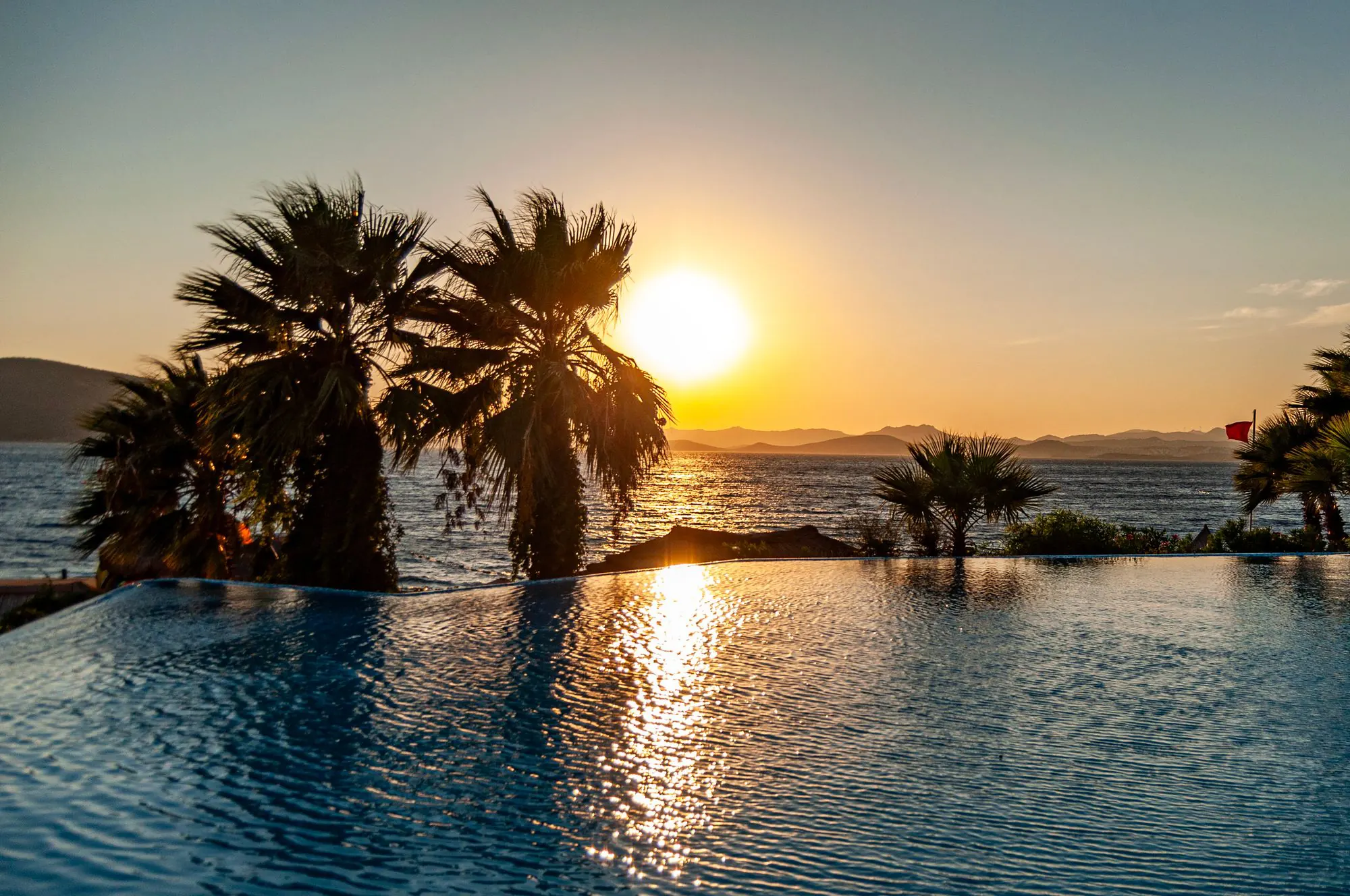 Infinity pool with palm trees and the sun setting over the sea