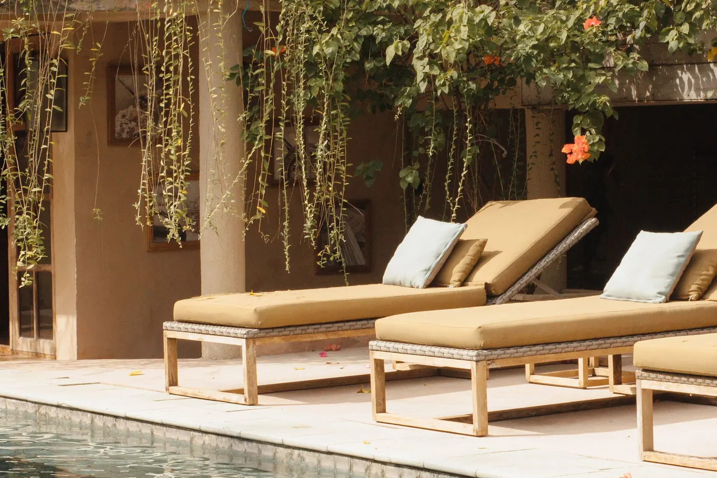 Two cushioned sun loungers beside a pool under trailing vines