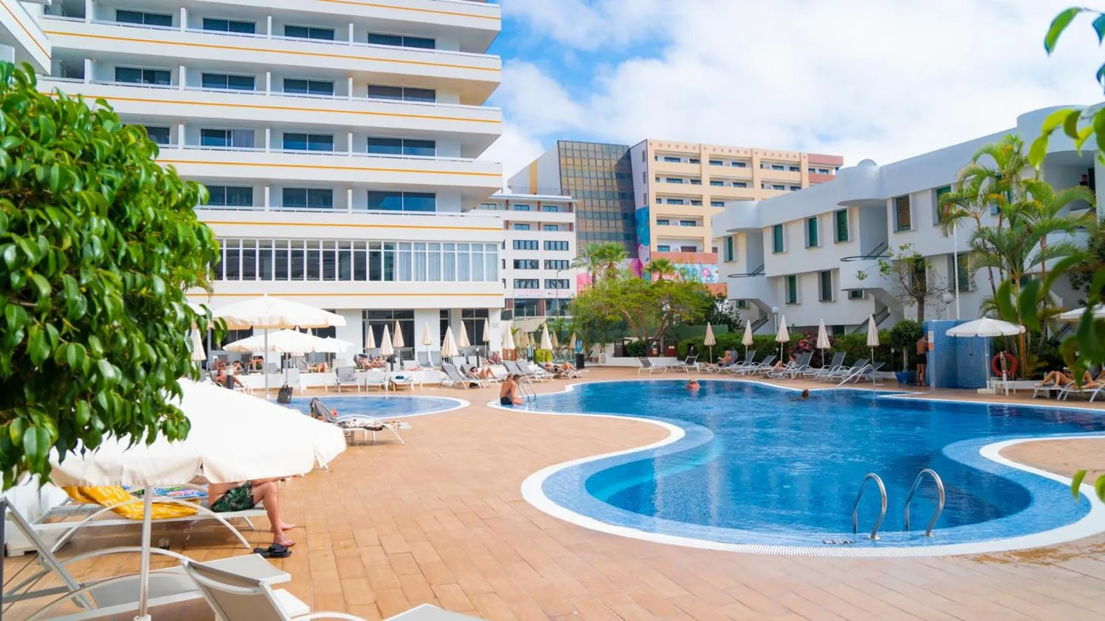 Outdoor pool with a timber deck and loungers