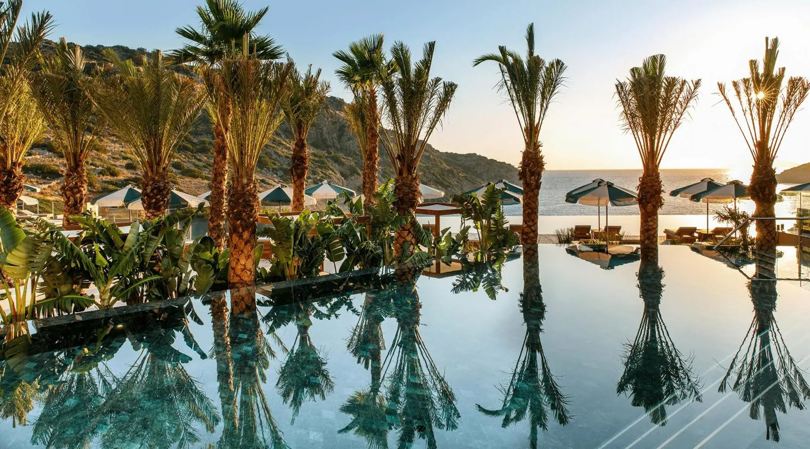 Palm trees reflected in the still infinity pool at sunrise