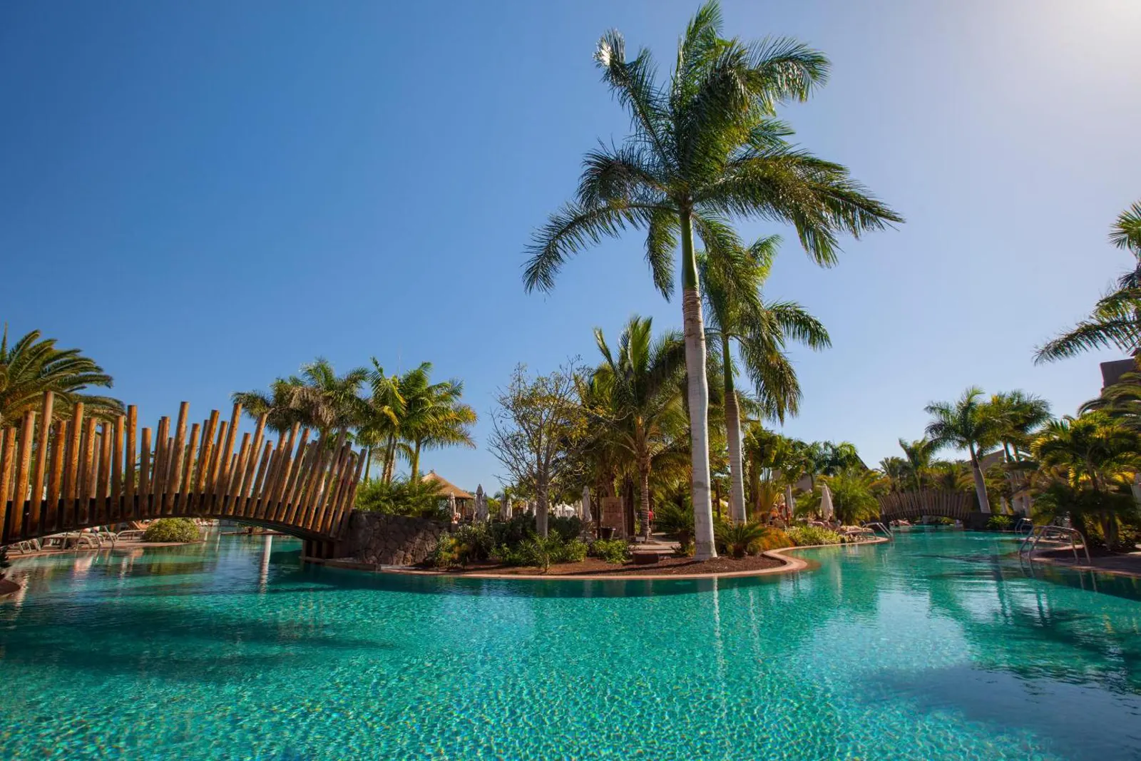 Pool with a wooden footbridge and a palm-covered island