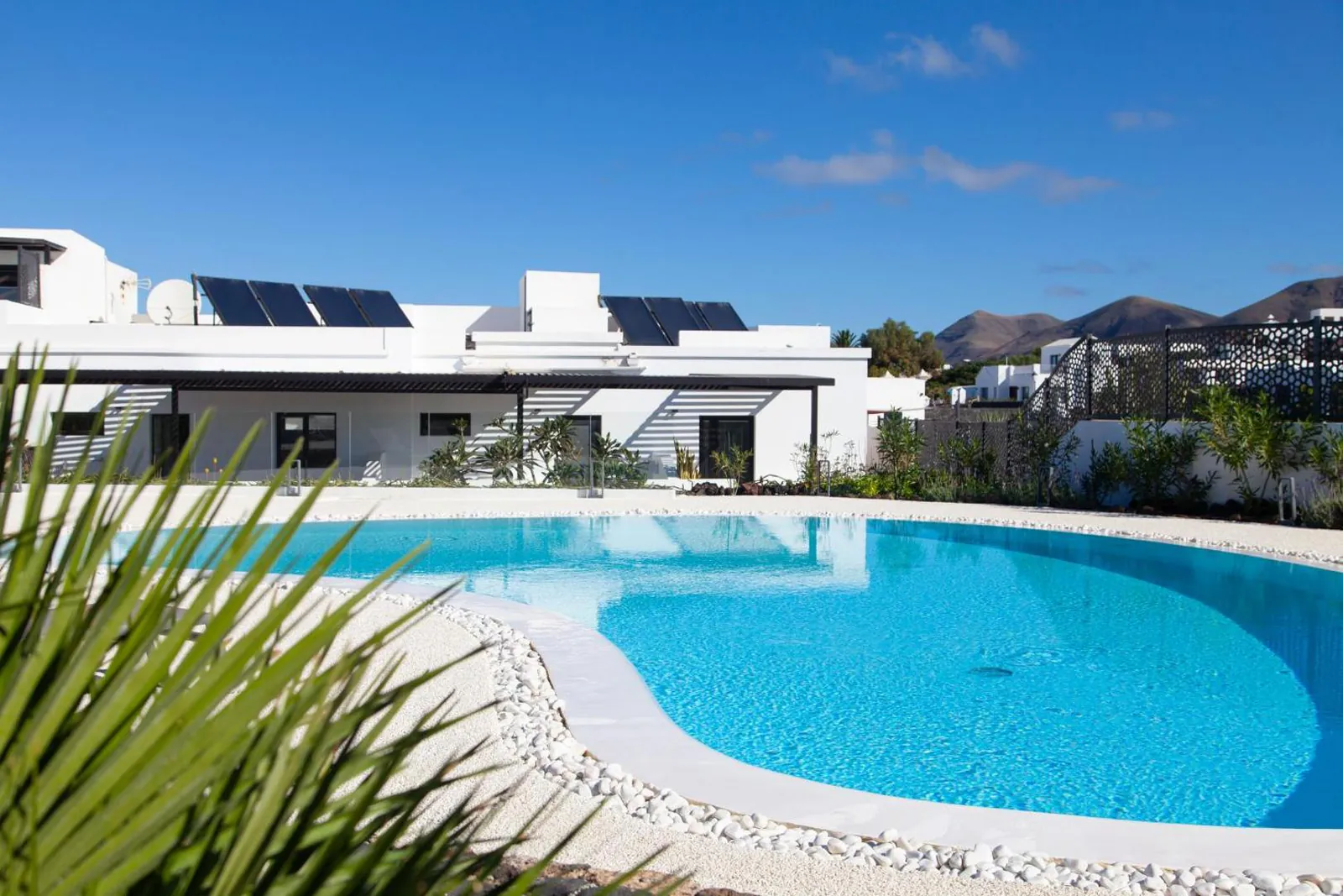 The pool framed by palms, with the white suites and Lanzarote's volcanic hills behind