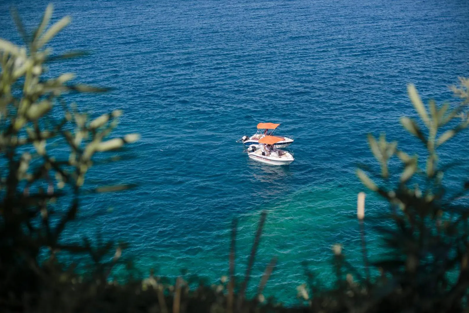 Small boat in the deep blue water of the bay, seen through the shrubs