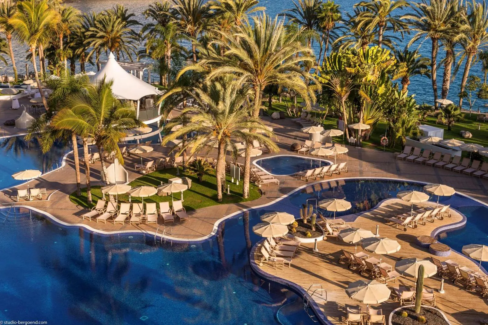 Aerial view of the free-form pools winding between palms and loungers