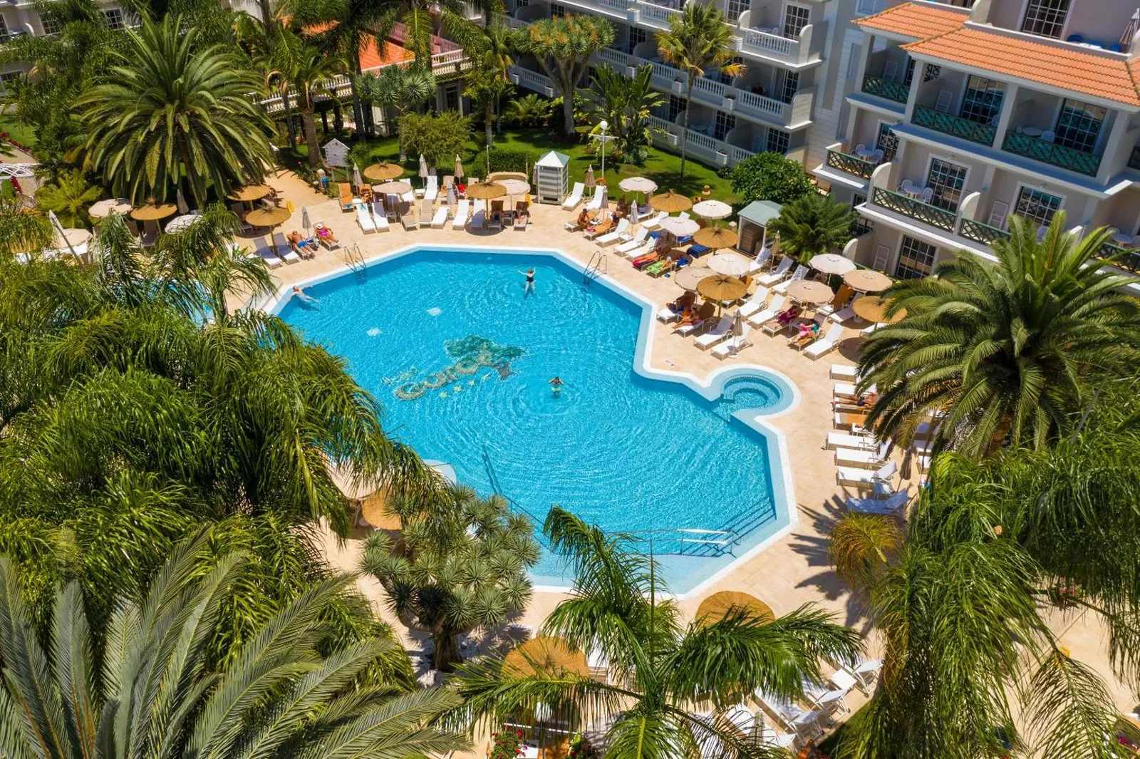 Aerial view of the main pool ringed by palms, parasols and loungers