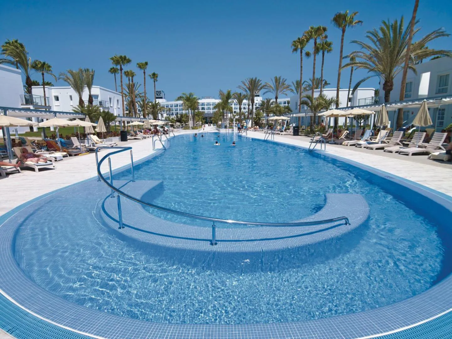Rounded outdoor pool with steps and a shallow ledge, palms and loungers around it