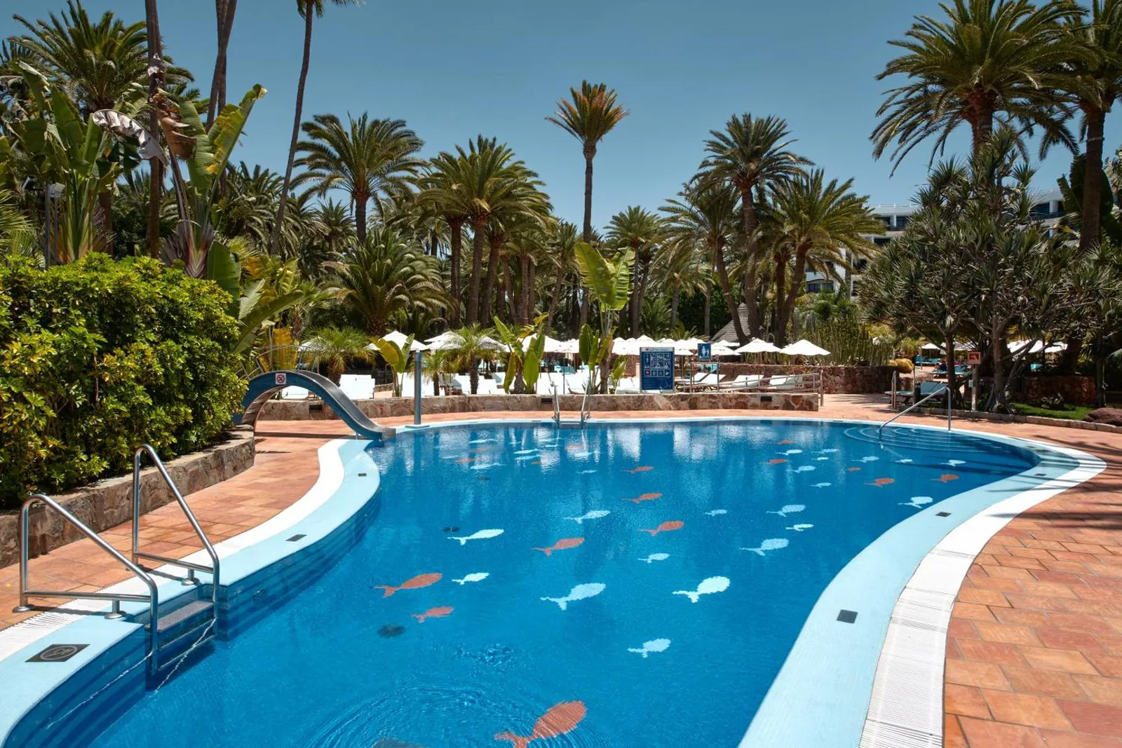 Curving pool with a slide and fish mosaics in the palm garden