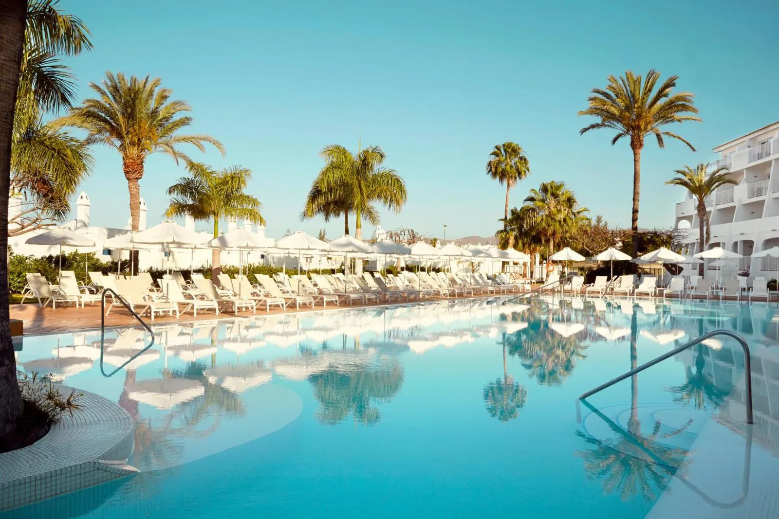Long pool lined with white loungers under palm trees