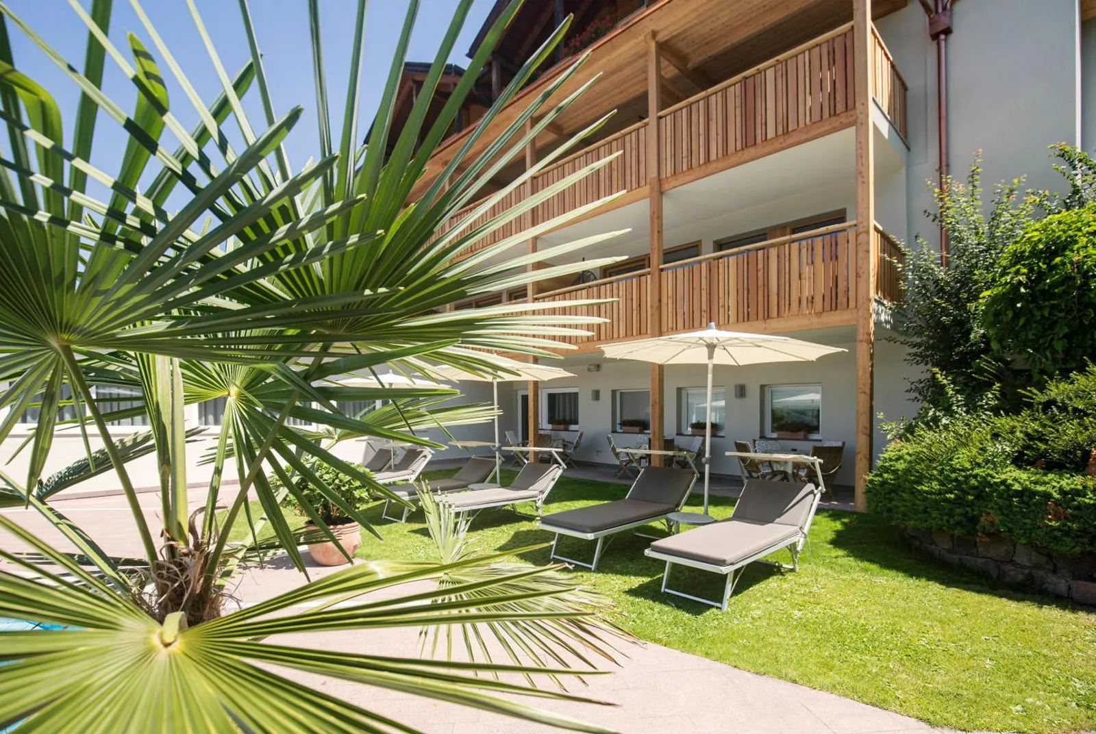 Garden loungers and palms beside the pool